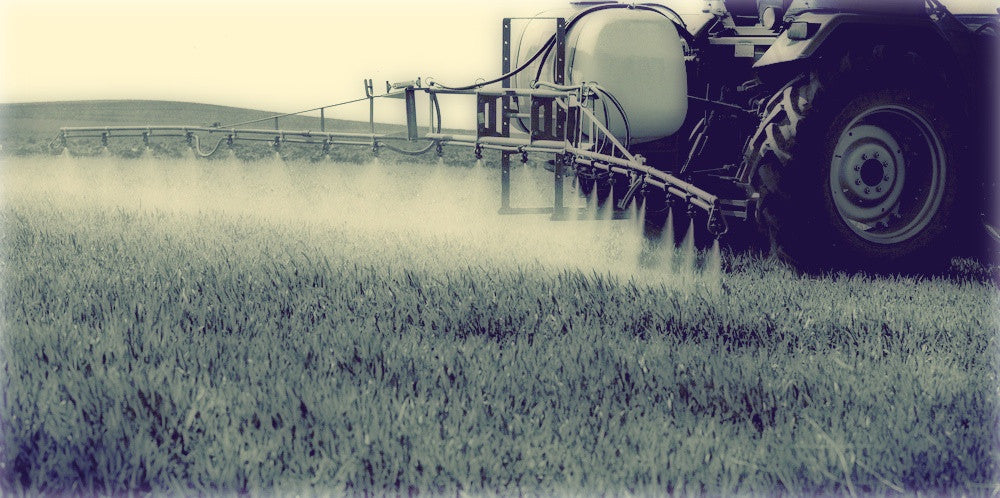 Are pesticides to blame for gluten sensitivity?